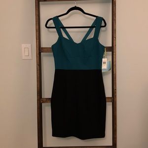 NWT awesome quality dress!